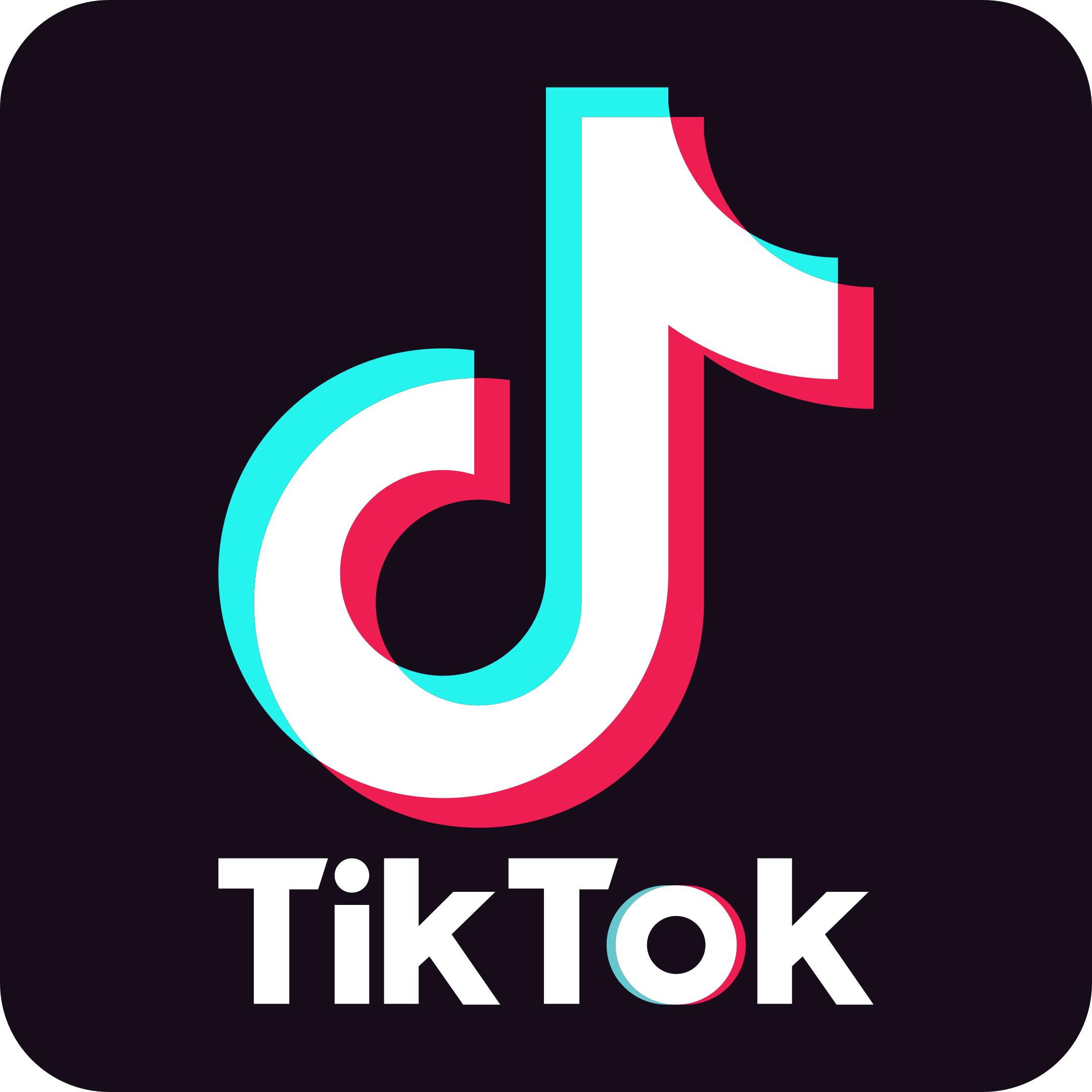 TikTok Logo